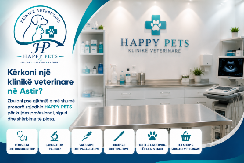 Kërkoni një klinikë veterinare në Astir? Zbuloni pse gjithnjë e më shumë pronarë zgjedhin HAPPY PETS për kujdes profesional, siguri dhe shërbime të plota